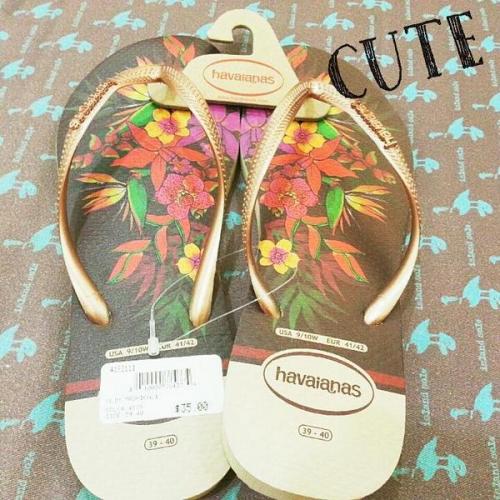 アイランドソール