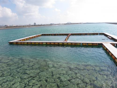 ドルフィンファンタジー