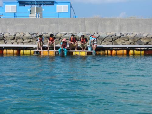 ドルフィンファンタジー