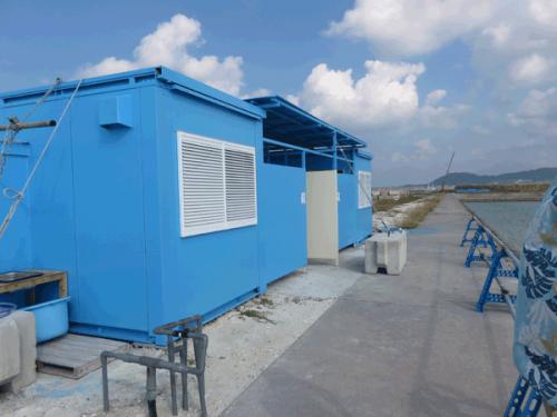 ドルフィンファンタジー