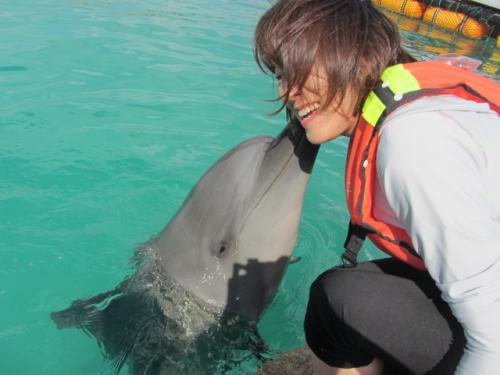 ドルフィンファンタジー