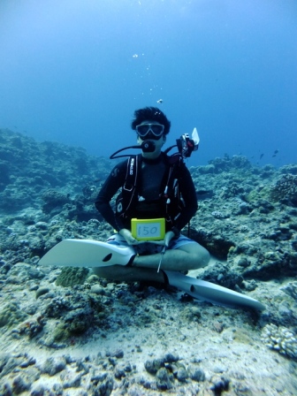 サイパン ダイビングライセンス