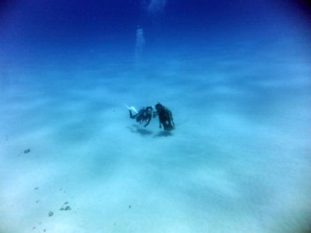 サイパン ダイビングライセンス