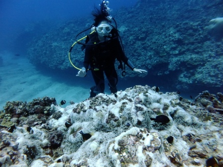 サイパン ダイビングライセンス