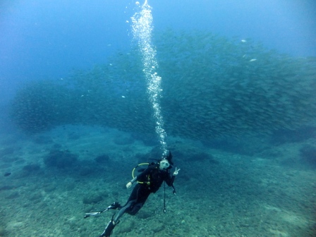 サイパン ダイビング