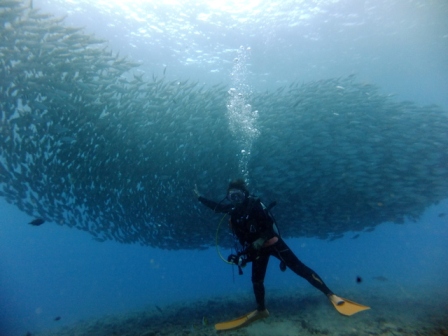 サイパン 体験ダイビング