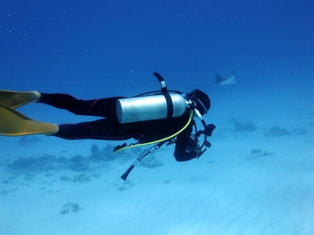 サイパン ダイビングショップ