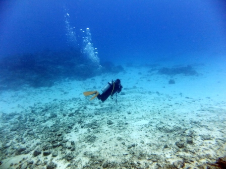 サイパン 体験ダイビング