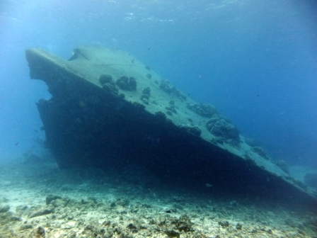 サイパン ダイビングライセンス