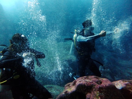 サイパン ダイビングライセンス