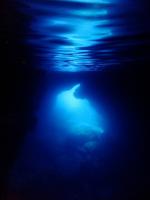 サイパン　ダイビング