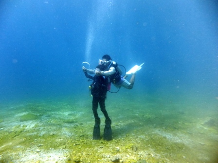 サイパン ダイビング