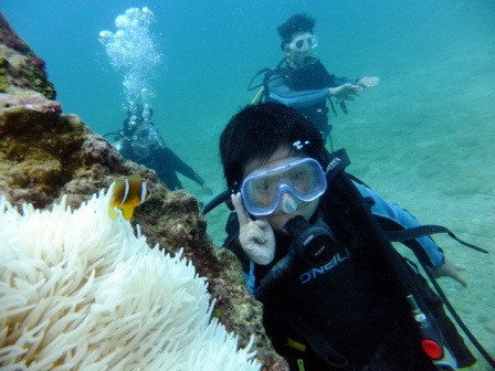 サイパン ダイビング