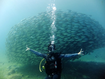 サイパン ダイビング