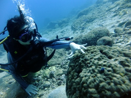 サイパン ダイビング