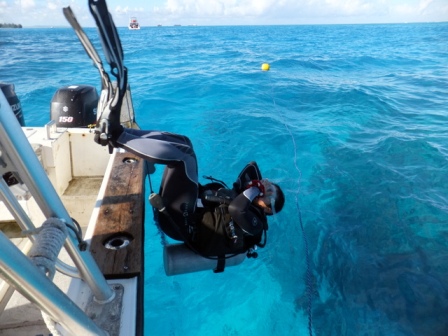 サイパン ダイビング