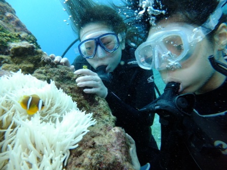 サイパン ダイビング