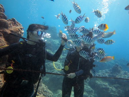 サイパン ダイビング