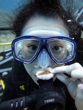 サイパン ダイビング