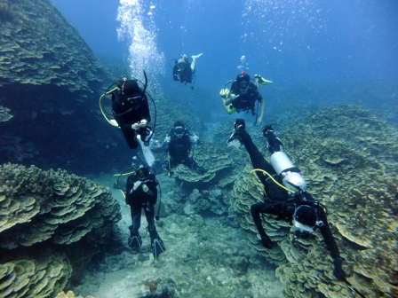 サイパン ダイビング