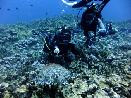 サイパン ダイビング