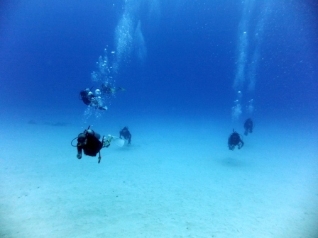 サイパン ダイビング