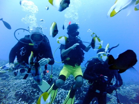 サイパン ダイビング