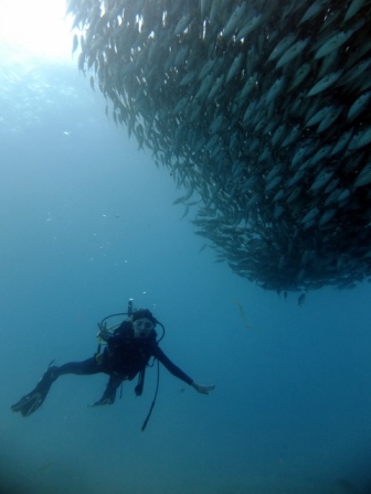 サイパン ダイビング