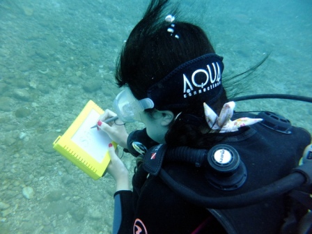 サイパン ダイビング