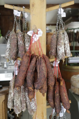 白カビ・サラミ