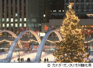 ウィンターワンダーランド2