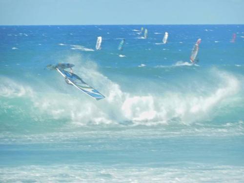 ホキーパウエイブ2