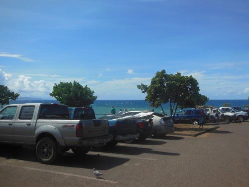 ホキーパルックアウト