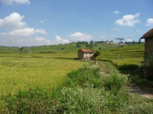 コカナの秋2014年２