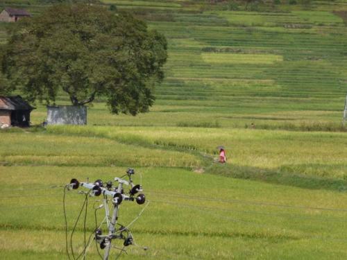 コカナの秋2014年３