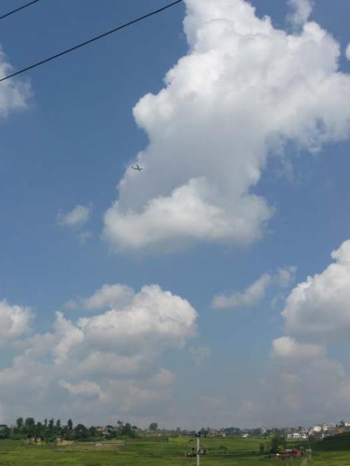 コカナの秋2014年６