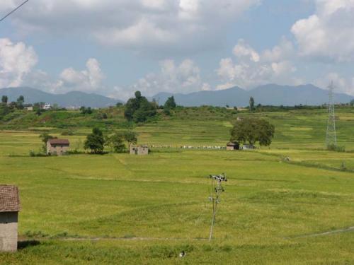 コカナの秋2014年７