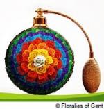 花のベルギー・フランダースを訪ねる