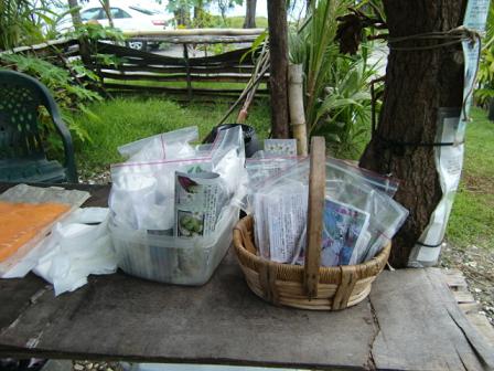 ★AVISでGUAM1DAYドライブ★