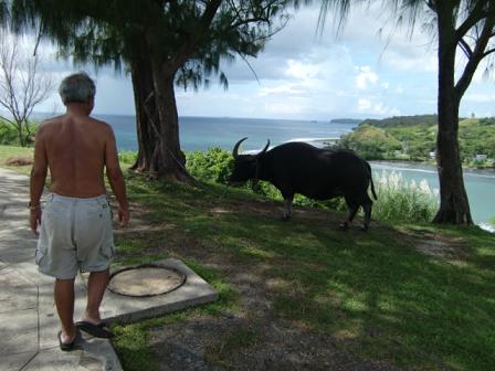 ★AVISでGUAM1DAYドライブ★