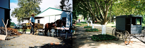 開拓時代を彷彿させるアーミッシュ村