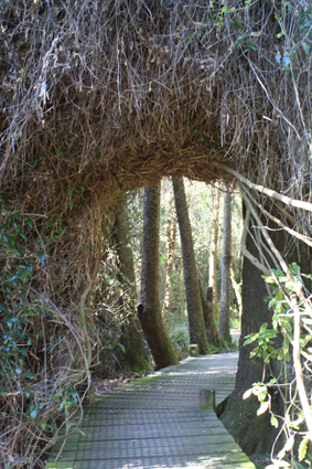 Ｐ７３-０５４Ｆ