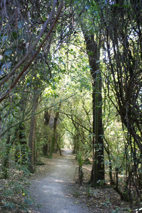 Ｐ７３-０５５Ｆ