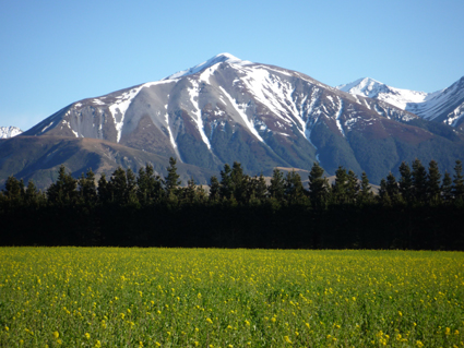 Ｐ７５-１１９Ｆ