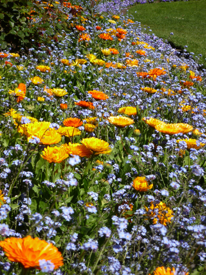 Ｐ７６-０７０Ｆ