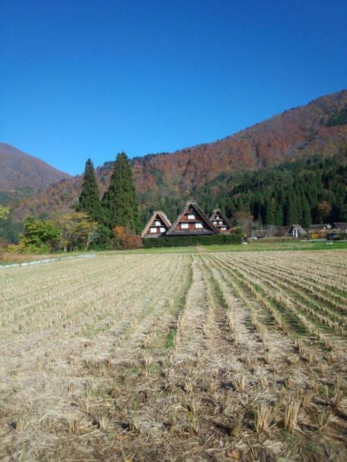 紅葉まっさかりの秋と雪景色が楽しめる１