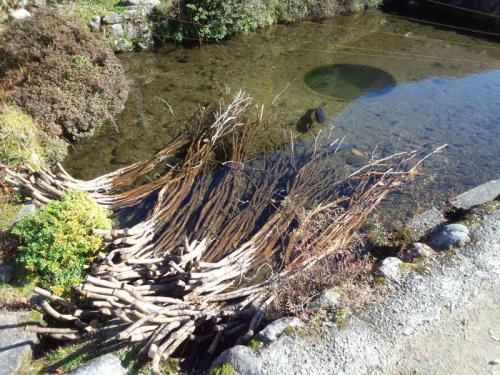 紅葉まっさかりの秋と雪景色が楽しめる６