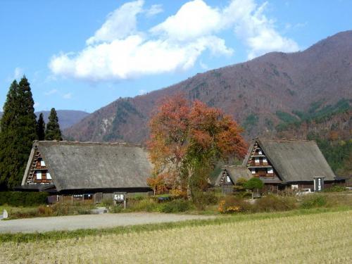 晩秋の白川郷風景 深まる秋を感じる！３