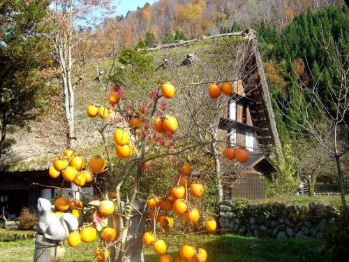 晩秋の白川郷風景 深まる秋を感じる！９
