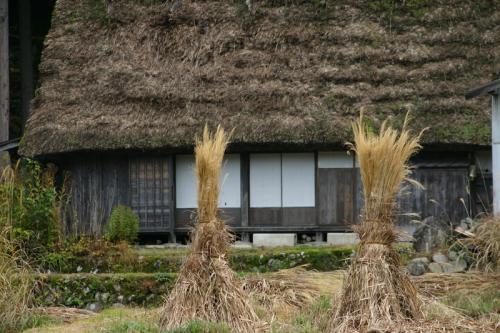 世界遺産 白川郷は紅葉も終盤 ６